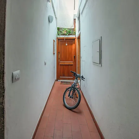 Vanni By Mamo * Firenze